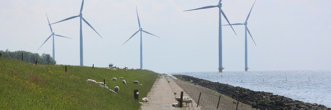 Het Nieuwe Land - 081 | Gebo Tours | Groepsdagtocht met vervoer